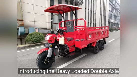 175cc/200cc/250cc/300cc/350cc Cheap Gasoline 3 Three Wheel Motor Tricycle Motorcycle Heavy Loaded Petrol Cabin for Cargo Passenger with Sunshade Roof Tricycle 