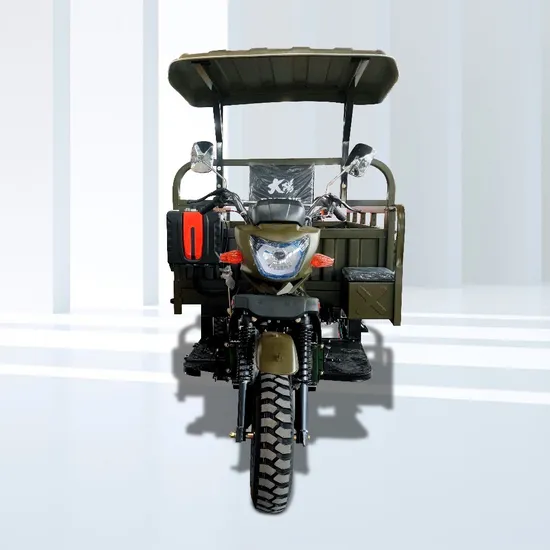 Simple Gear System 3 Wheel Motorcycle Cargo Vans 250cc Engine Open Motor Tricycle for Cargo 
