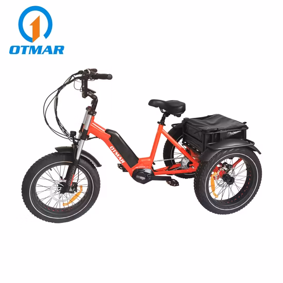 MID Motor 250W Cargo Bike Electric Tricycle with Wooden Box Dutch Bike