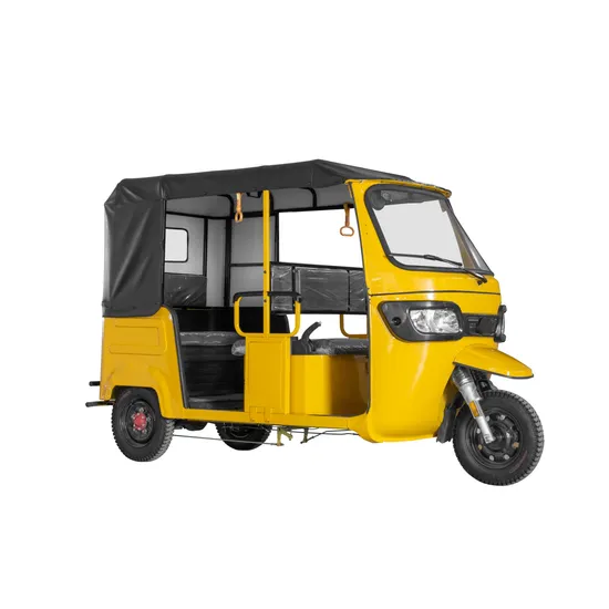 Hot Sale Passenger Electric 3 Wheel Tricycle 1000W Motor Rickshaw Electric Tuk Tuk for Adults 