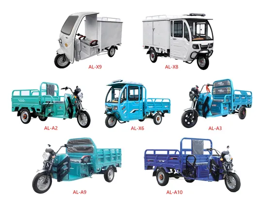 Alin Adult Three Wheel Closed Cargo Passenger Low Speed Electric Motor Tricycle for Agriculture with Open Carriage 