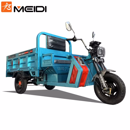 Big Headlight Cargo Tricycle 60V 45ah 1000W Motor Electric Vehicle for Poland Market