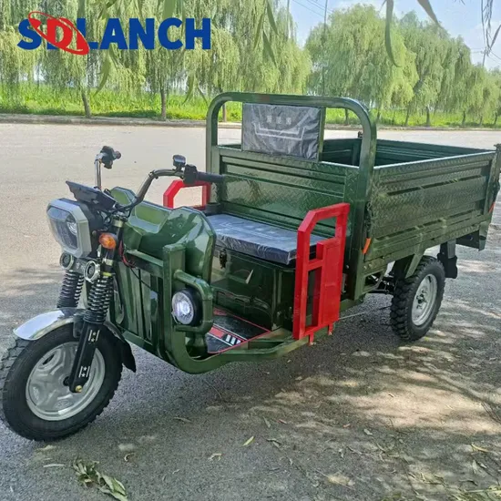 CE/EPA Wheel Scooter Rickshaw Bicycle Motorcycle Adult Vehicle Mobility Cargo/Passenger Closed Motor 3 Wheel Electric Tricycle for Mining and Construction 