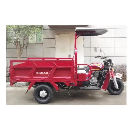 New V1 Large Cargo Space Oil Tricycle 