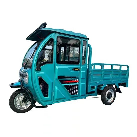 Electric Petrol Engine Bike Tricycles 3 Wheel 800cc Bicycle Maroc Algerie Vehicule Rear Box Cargo Tricycle 