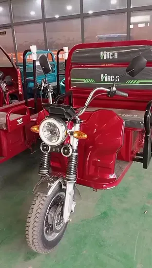 1500W Psm Motor Passenger Trike Electric Cargo Tricycle with Premium Quality 