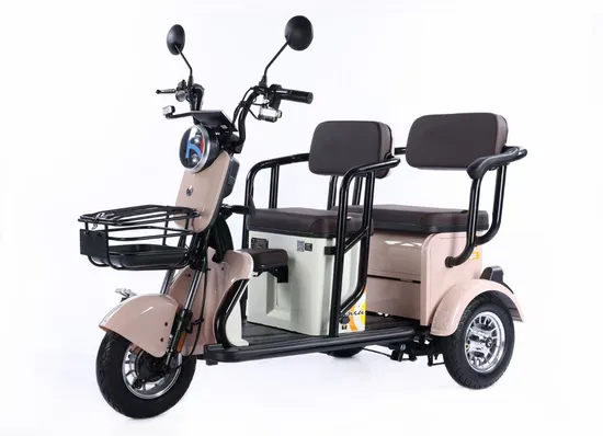 Hot Products 100% Brand New Original Best Price Inverter Display Rear Carrier 500W Bike Cheapest Electric Tricycle