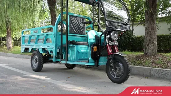 New Style 1800W Cargo Trike 3 Wheel Motorcycle Cheap Electric Tricycle with Iron Roof 