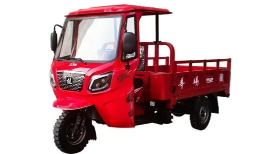 1#*Safer Than Electric Tricycles. Faster. 200cc Fuel Cargo Tricycle 