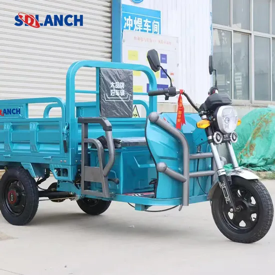 Farm Adult Loader Wholesale Heavy Drum Brake Engine Drive Used Passenger Vehicle Transport 2200W Three