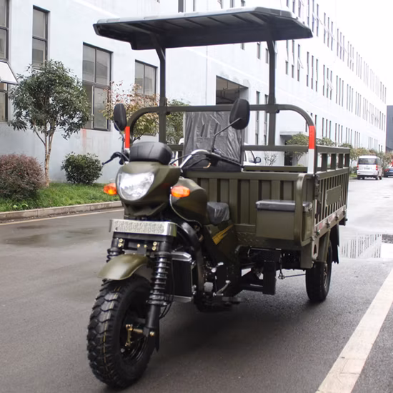 Chinese Manufacturers Sell Dump Freight Three Wheels Motorcycle Fuel Oil Gasoline Motorized Tricycle for Cargo