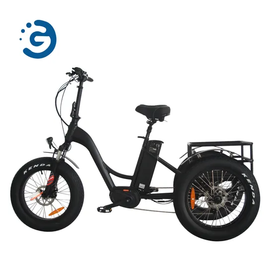 MID Drive Motor Fat Tyre Three Wheel Cargo Electric Tricycle 