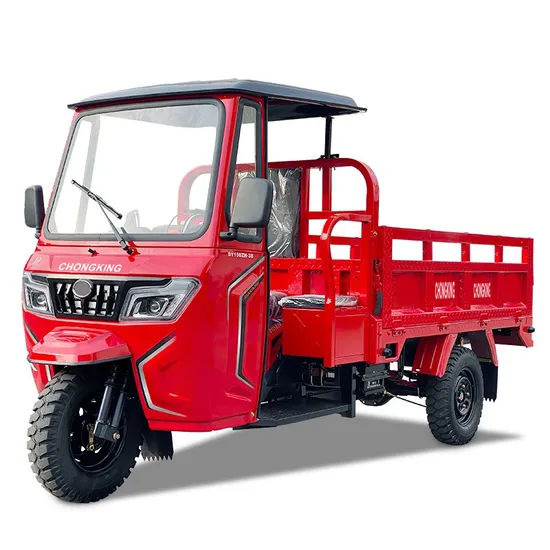 Dayang Motorized Three Wheel Gasoline Engine 200cc Farming Gasoline Cargo Tricycle 