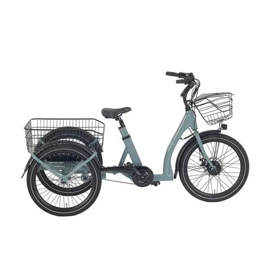 High Quality 3 Wheel Electric Tricycle Brushless Motor 250W Cargo E Trike for Elderly 