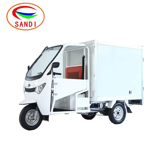Courier Express Delivery Cargo Van Electric Tricycle 