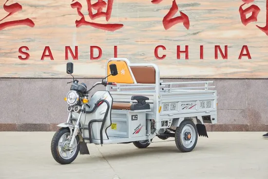 2024 Big Powerful Big Battery Express Delivery 3 Wheels Electric Tricycle 