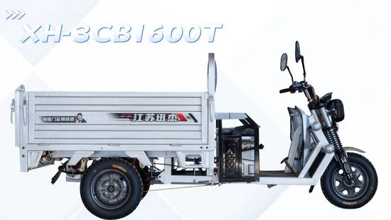 China Hot Sale 1200W Cargo Dump Electric Tricycle 