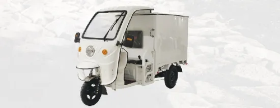 High Quality Cargo Tricycle Factory Wholesale Retail Electric Bicycle Large Motor Powerful Engine 