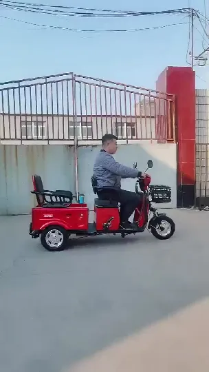 Tricycle Wheel Two 3 Motor for Seat Cargo Diesel Engine Gas Powered Adult Seats Baby Taxi Gasoline Car Solar Electric Tricycles 