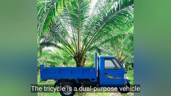 Good Quality Diesel Engine Truck 3