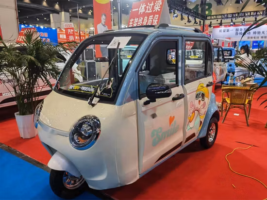Jinpeng Closed Express Cargo Transportation Electric Tricycles with 1000W Motor