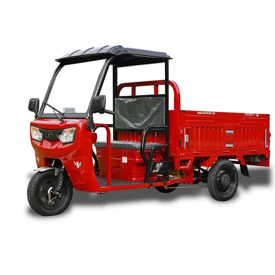 Electric Tricycles 3 Wheel Mini Motor for Cargo Kids Baby Touring Engine 250cc 12V Battery Moteur De Differential Gear Tricycle 