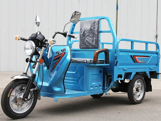 Passenger 3 Wheel Electric Motorcycle Cargo Scooter Vehicle Car for The Disabled Fuel Tricycle 