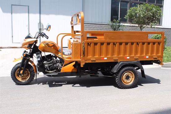 Hight Quality 350cc Motorcycle Tricycle 3wheel Heavy Loading Truck Cargo Tricycle for Adult Power Engine Water