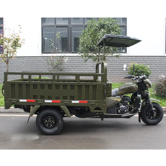 Factory Fuel Three Wheels Enclosed Cargo Motorized Tricycles 